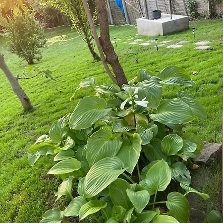 Holiday home Sun&fun Vendeghaz *