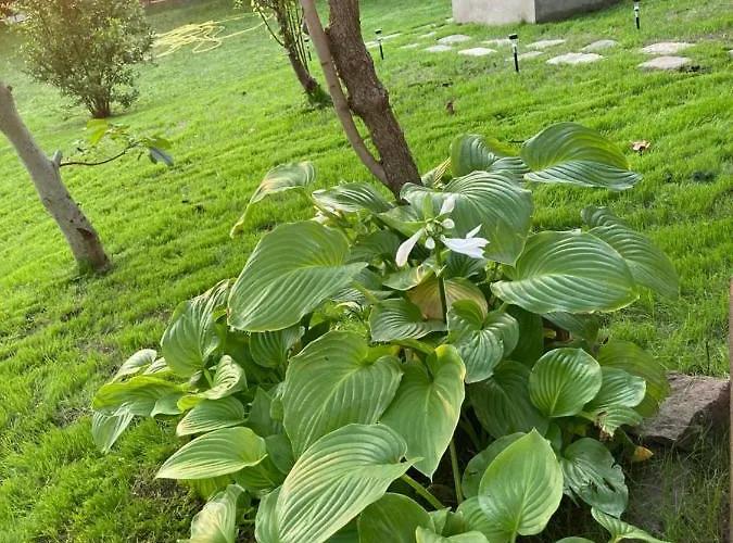 בית נופש Sun&fun Vendeghaz *