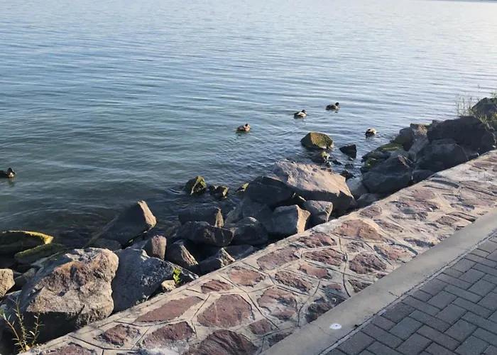 Sun&fun Vendeghaz בית נופש